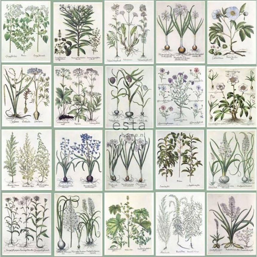 Non-woven wallpaper with plants and flowers, 159229, Vintage Flowers, Esta Home